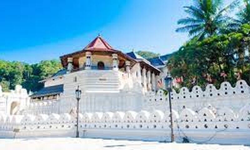 Sri Lanka Dalış ve Kültür Turu