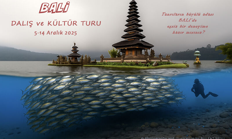 Bali Dalış ve Kültür Turu