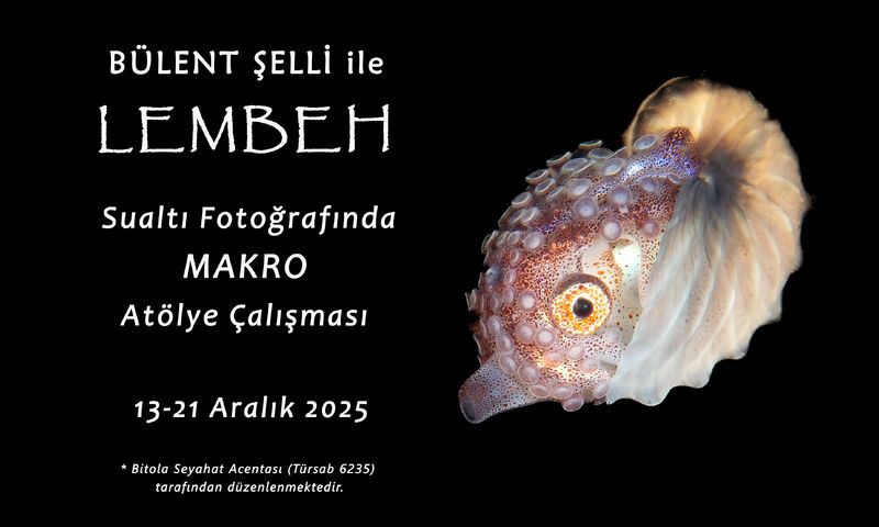 Bülent Şelli ile LEMBEH  Sualtı Fotoğrafında MAKRO Atölye Çalışması 