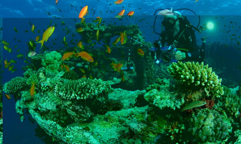 Sharm El-Sheikh Dalış Turu