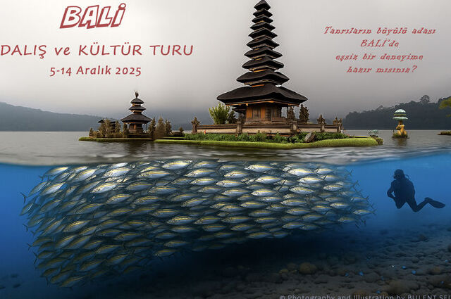 Bali Dalış ve Kültür Turu