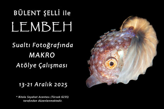 Bülent Şelli ile LEMBEH  Sualtı Fotoğrafında MAKRO Atölye Çalışması 