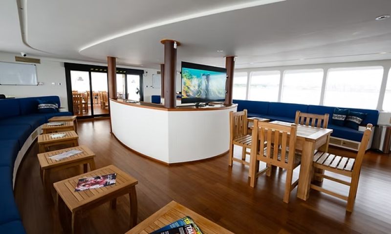 Maldivler Dalış Turu