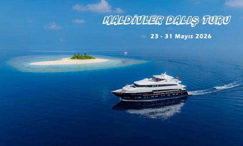 Maldivler Dalış Turu