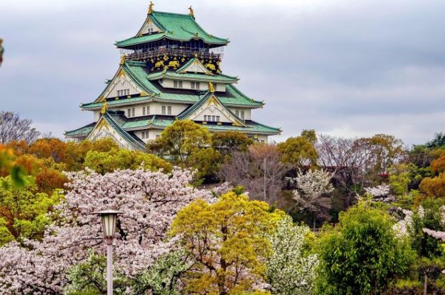 İzmir Çıkışlı Sakura Zamanında Büyük Japonya & Kore (Kampanya)