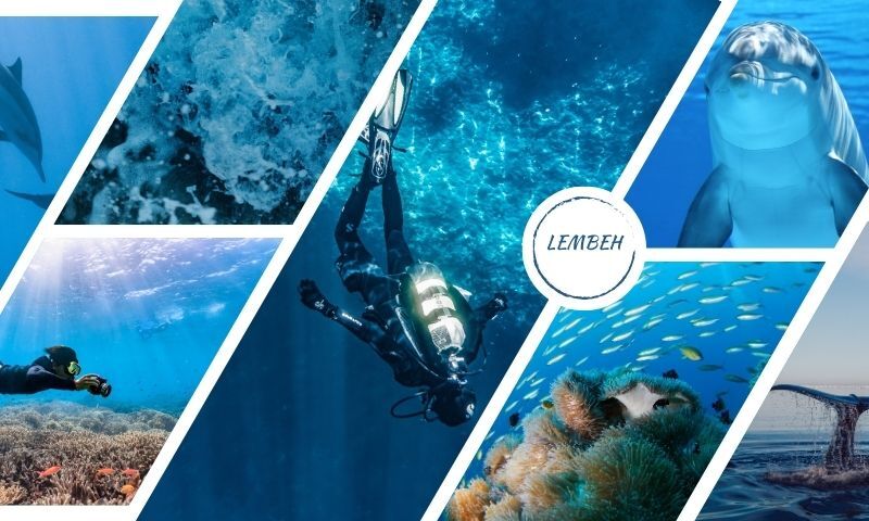 LEMBEH Sualtı Fotoğraf Atölye Çalışması