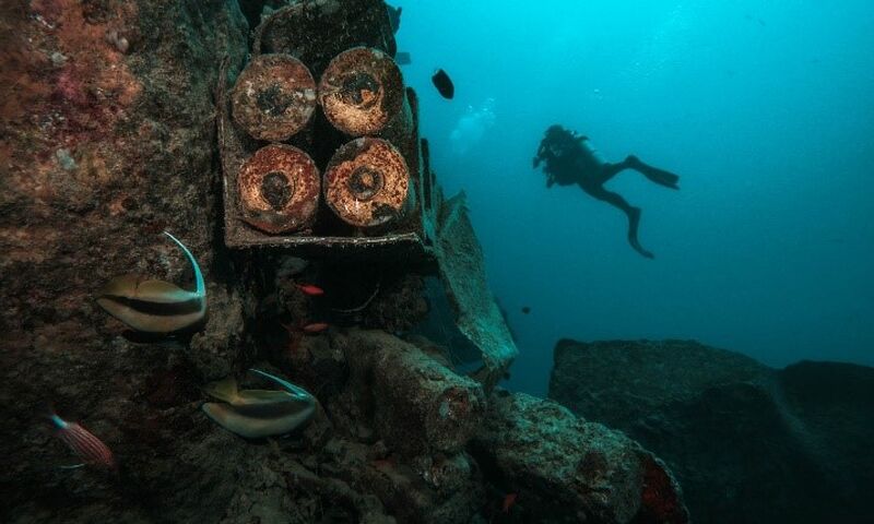 Kızıldeniz Sharm El Sheikh Dalış Turu