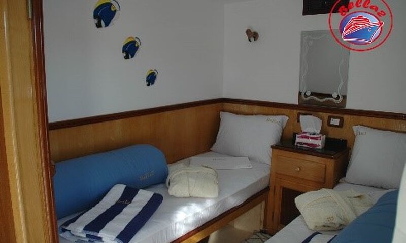 Kızıldeniz Sharm El Sheikh Dalış Turu