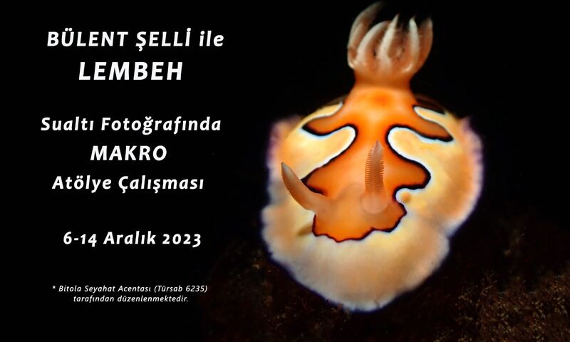 LEMBEH Sualtı Fotoğraf Atölye Çalışması