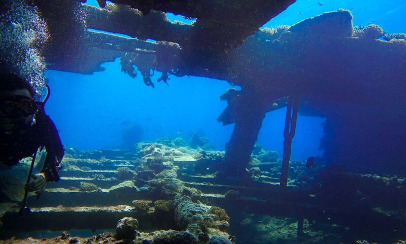 Vizesiz Sharm El-Sheikh  Dalış Turu