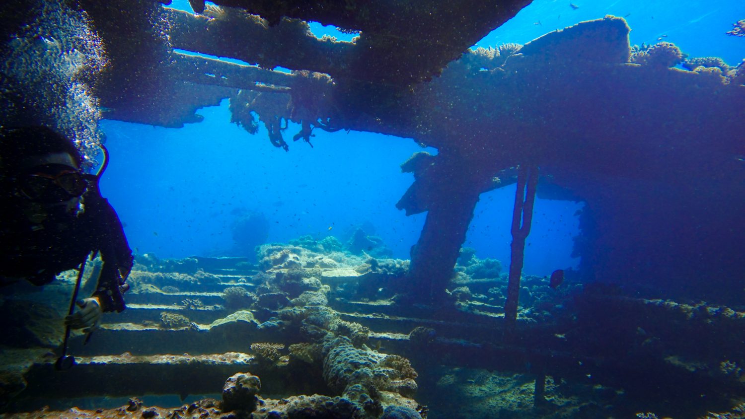 Vizesiz Sharm El-Sheikh  Dalış Turu