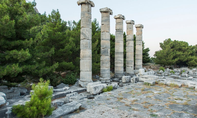 Priene & Miletus & Didyma