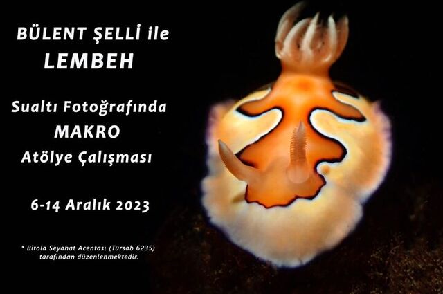 LEMBEH Sualtı Fotoğraf Atölye Çalışması